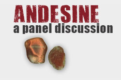 Andesine: A Panel Discussion