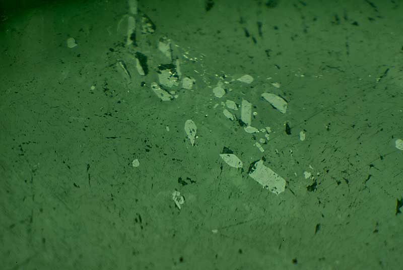 The same group of zircons seen in reflected light breaking the surface and displaying high luster. Note also the small (black) pits and microfractures, which suggest bleaching
