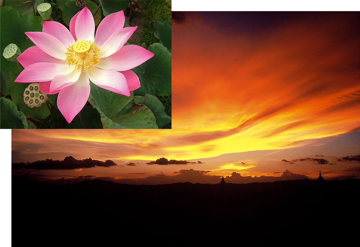 Figure 13. The variety of nature With both lotus flowers and sunsets, there is a range of possibilities. Since padparadscha is defined by these colors, thus it seems logical that padparadscha might also cover a range of possibilities. Sunset photo at Bagan, Myanmar: Richard W. Hughes; lotus photo: iStockphoto.com