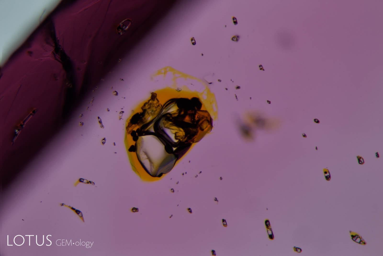 Sulfur-rich multi-phase fluid inclusions in a natural pink spinel from Pein Pyit, Mogok, Burma.