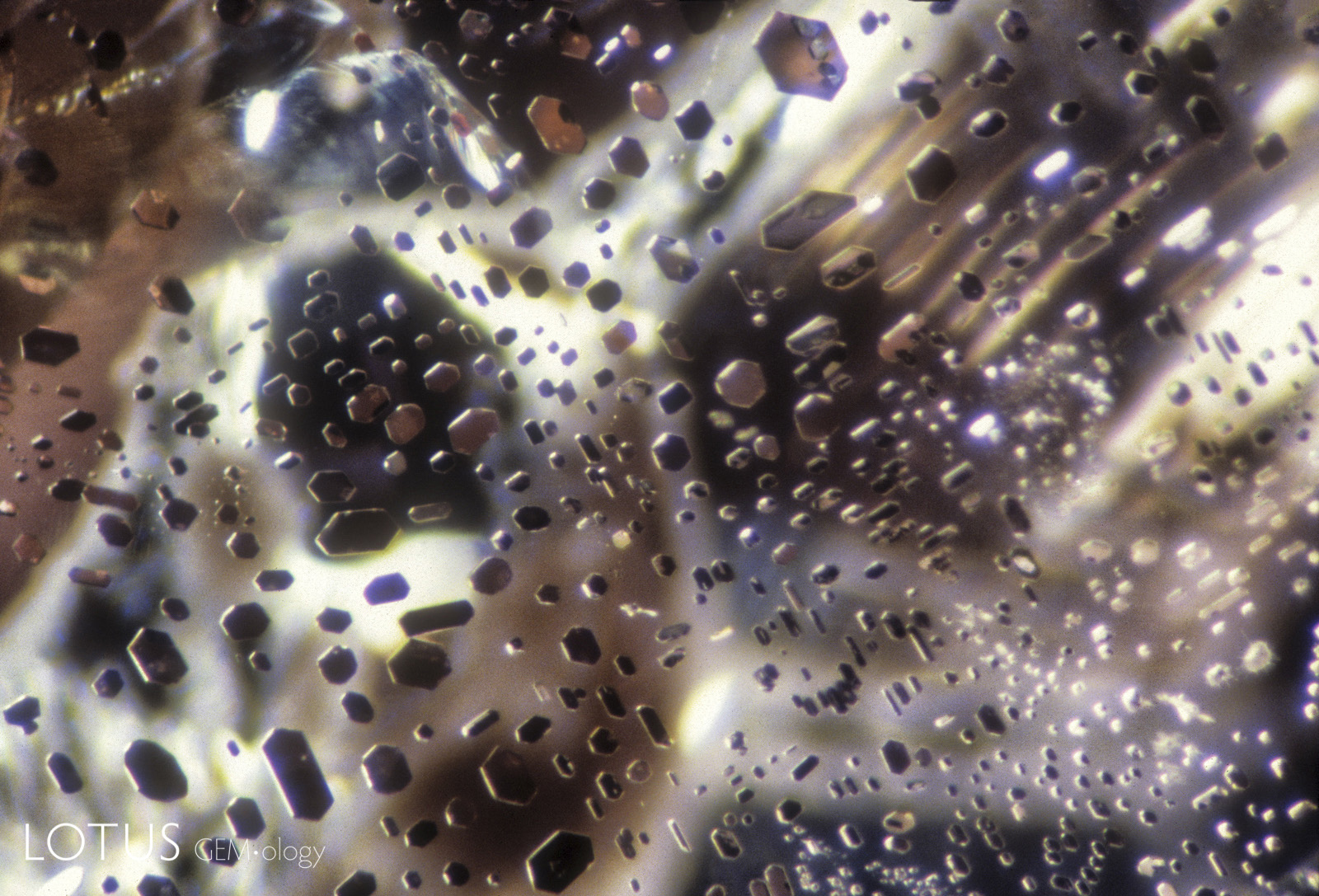 Small transparent crystals form clusters in a Vietnamese spinel. These tabular crystals are transparent and doubly refractive. Dark field illumination. Photo: E. Billie Hughes