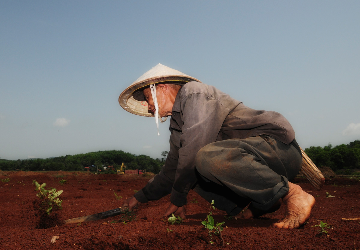 While mining takes place in the background, a farmer plants the first seeds of rice on his newly reclaimed land. 