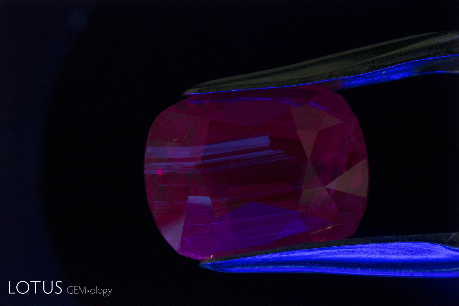 Hyperion Inclusion Search Engine Lotus Gemology