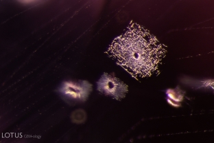 A cluster of needles forms an octahedral cloud around a tiny crystal in this spinel. As seen here, inclusions often echo the symmetry of the host crystal.