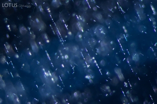 Fine needles and particles intersect in a cobalt blue spinel from Sri Lanka.