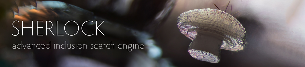 Sherlock — Advanced Gem Inclusion Search Engine