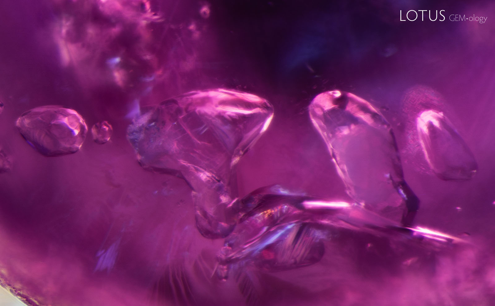 (750°C) The crystal second from the right has changed in texture and become slightly opaque; the one on the far right has also developed a fissure that has begun to heal.
