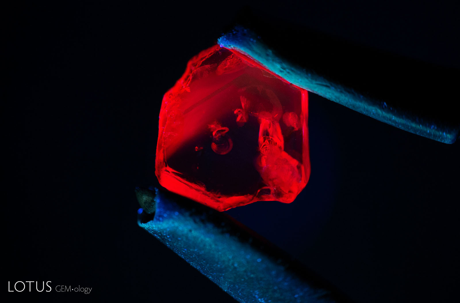 After heating to 1500°C, the sample continues to display strong red fluorescence in long-wave UV. The area on the right with more visible red fluorescence is due to light striking inclusions that have altered, rather than a change in the stone’s bodycolor.