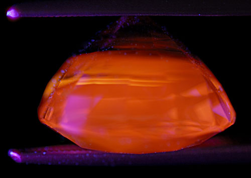 Figure 13. One of the remaining corundum mysteries is the cause of the "apricot" orange fluorescence seen in many sapphires of both blue and yellow color, particularly those from Sri Lanka and Madagascar. This fluorescence may be seen in both LW and SW, with LW always being stronger, and is unaffected by heat treatment. The above stone is an untreated Madagascar blue sapphire in LW, the same stone as shown in Figures 11 and 12. Note that the culet area, which contains the heaviest concentration of blue color, is inert. Photo: Richard W. Hughes; Nikon D200
