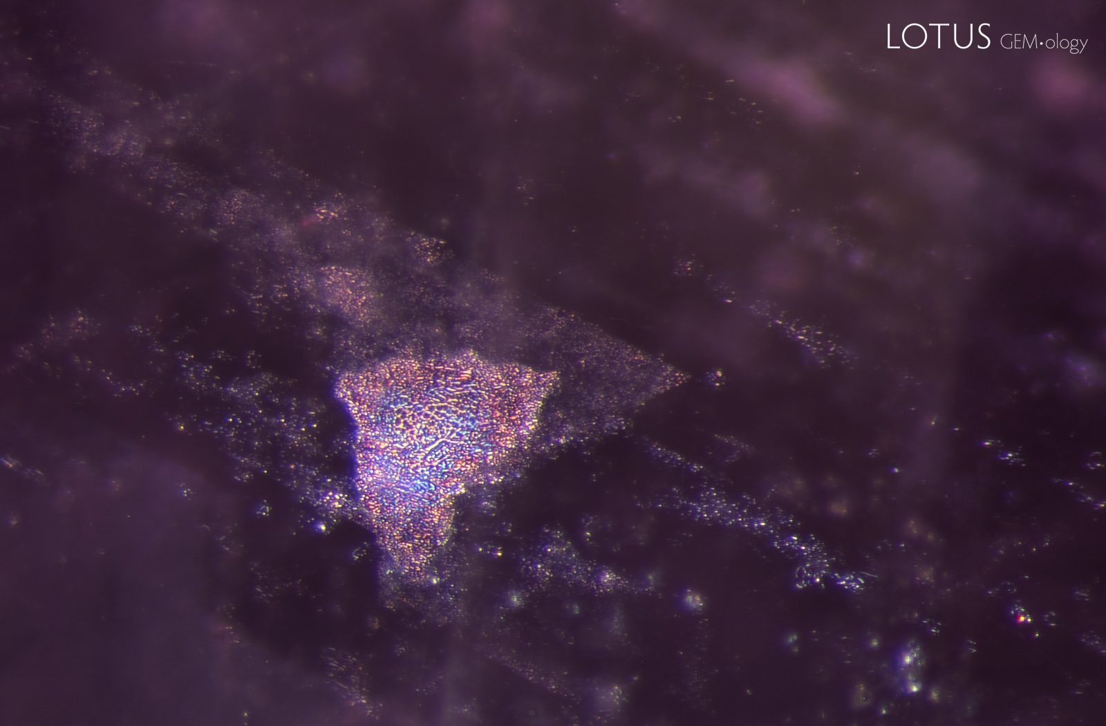 Complex planes with mottled particles in heated spinel.