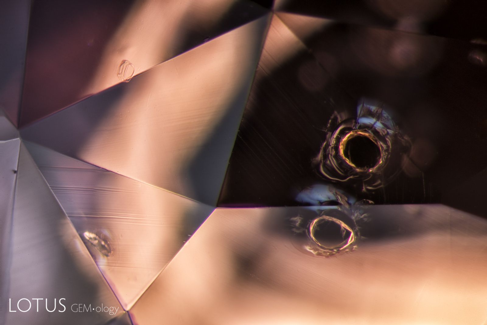 When viewed with dark-field illumination, the glassy tension halos around each monazite crystal are more distinct.