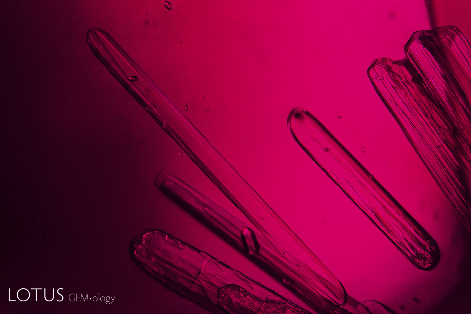 Amphibole rods in Andilamena ruby. Photo: E. Billie Hughes