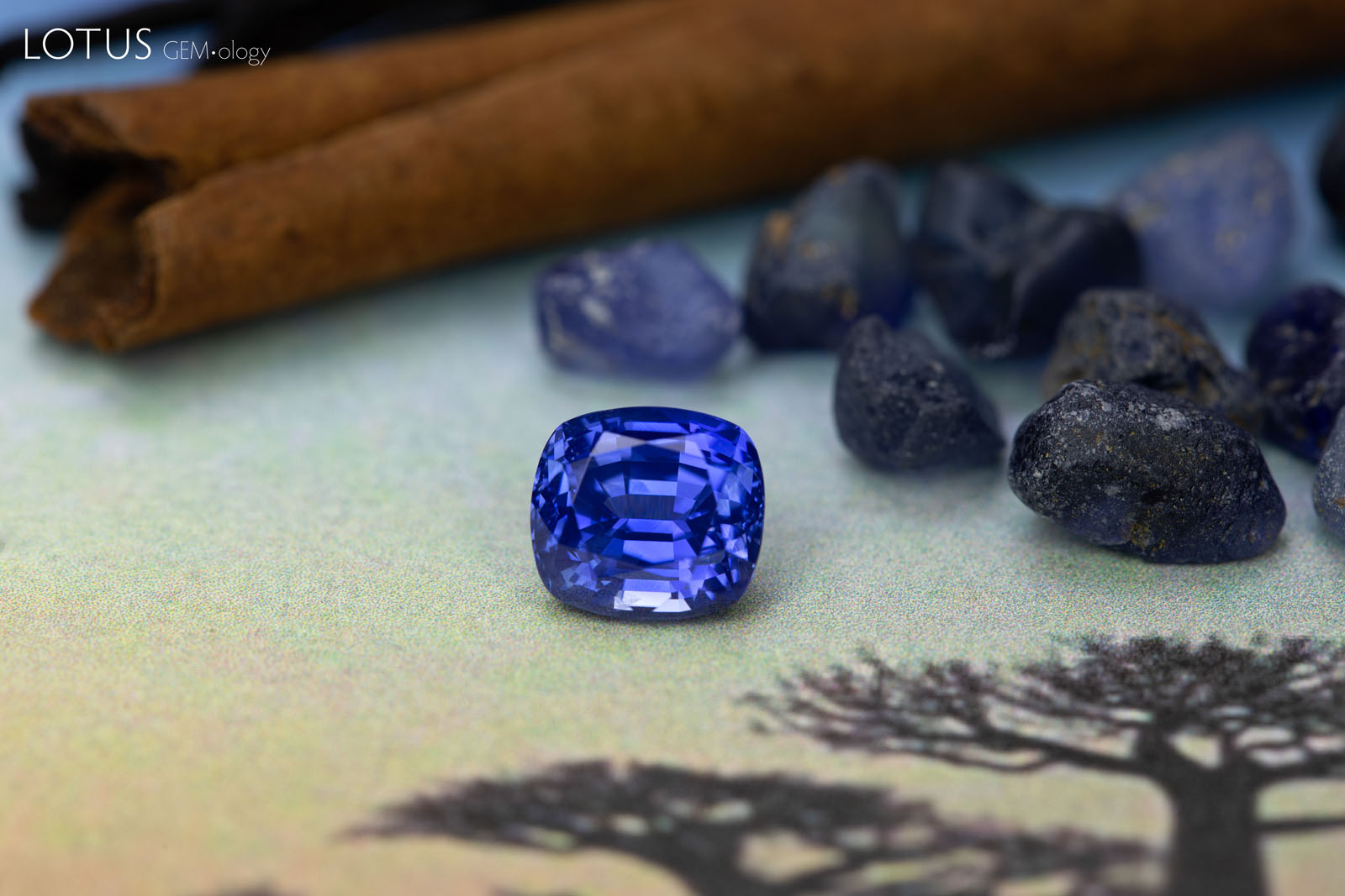 Sapphires from Madagascar: a beautiful 3.29 ct untreated faceted stone and an assortment of rough in the background. Madagascar has produced many high-quality stones in the last few years and is quickly gaining a reputation for fine sapphires equal to any on the planet. Photo by Wimon Manototkul, sapphire courtesy of Neil Doohan.