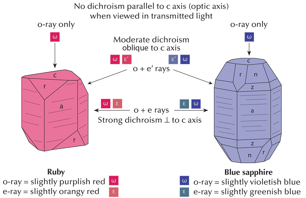 Figure 3. Pleochroism in uniaxial crystals as viewed with the dichroscope, using the example of ruby and sapphire. Illustration: Richard W. Hughes
