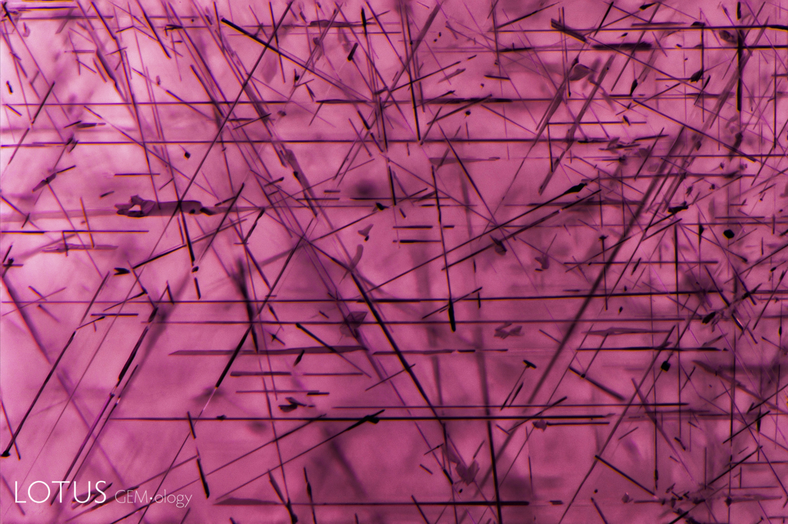 Crystallographically oriented acicular inclusions of ilmenite and rutile result in 6-rayed asterism in their host spinel from Sri Lanka.
