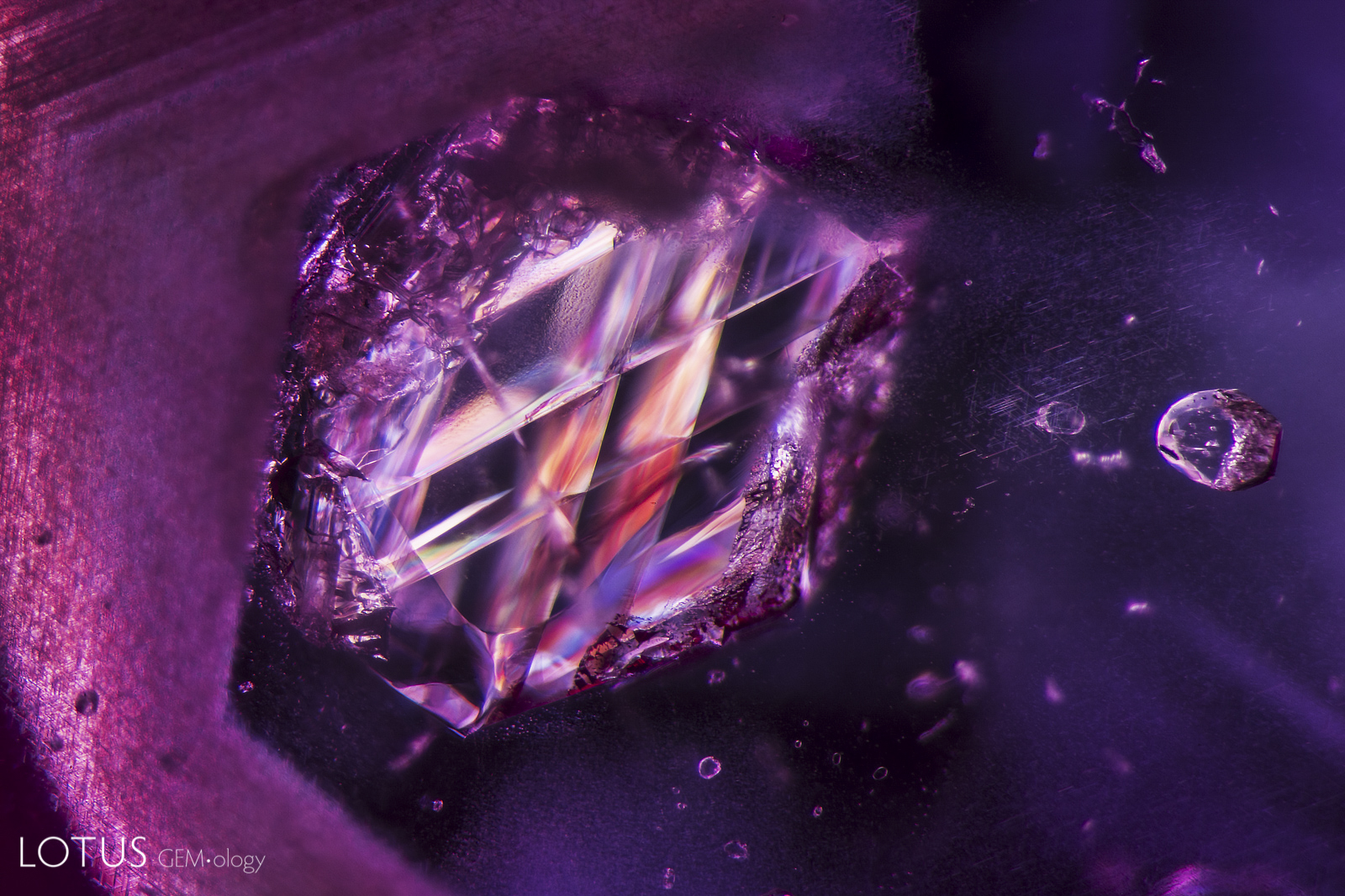 Viewed between crossed polarizers, an included calcite crystal within an unheated Burmese ruby displays dramatic twinning planes. Photomicrograph by E. Billie Hughes; field of view 3.90 mm.