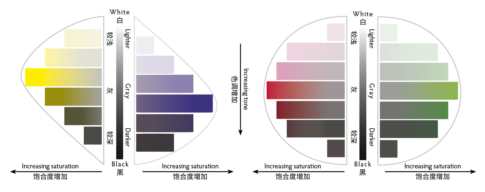 Vertical slices through the color sphere demonstrate the relationship between tone and saturation. Yellow at its highest saturation is lighter in tone than violet, while the highest saturations of red and green are equal in tone.