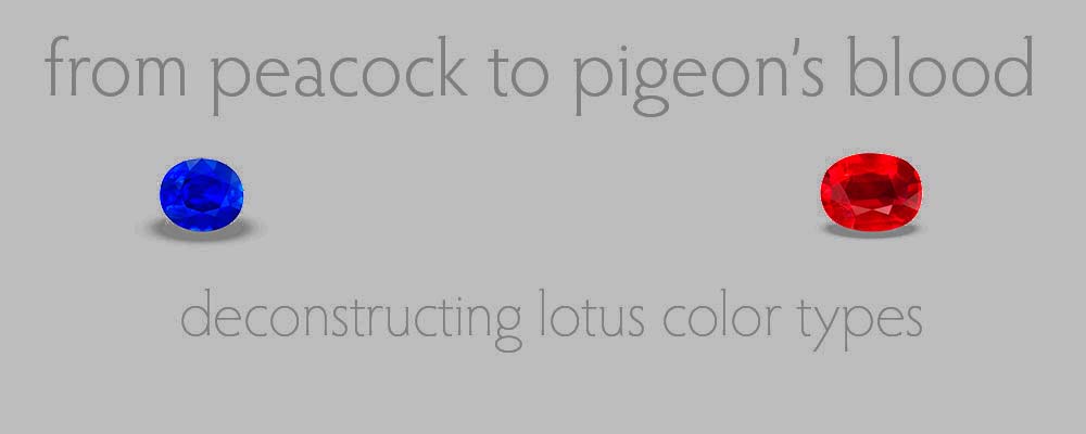 From Peacock to Pigeon's Blood: Deconstructing Lotus Color Types