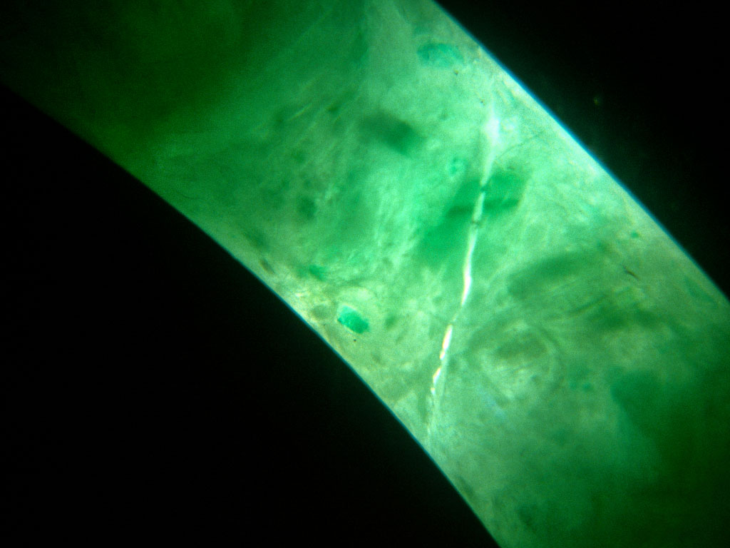 Figure 34. This jadeite bangle bracelet was broken and glued back together. The cement layer appears as a colorless area running vertically across the center of the photo. Under UV light, the glue in this piece fluoresced blue. Photo © Richard W. Hughes