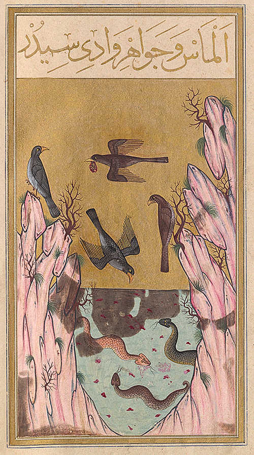 An Oriental miniature dated 1582, representing the Valley of Serpents, guarded by snakes. Eagles carry in their beaks pieces of meat in which gems are embedded, illustrating an Indian legend that appears in the tale of Sinbad the Sailor in the Thousand and One Arabian Nights. Illustration courtesy of the Bibliothèque Nationale, Paris.
