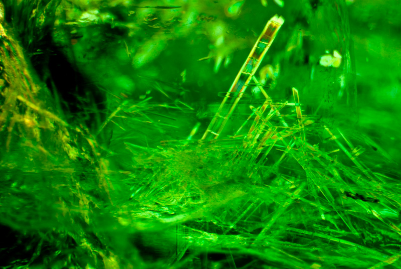 Lotus Gemology Bangkok: While comparatively rare, amphibole needles are a feature of some Malysheva emeralds, as shown in this photomicrograph produced in polarized light. Specimen courtesy of Tsar Emeralds Corp.; photo: John Koivula