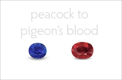 From Peacock to Pigeon's Blood • Lotus Gemology Color Types