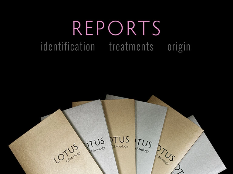 Reports – Prices