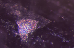Mottled features in heated spinel