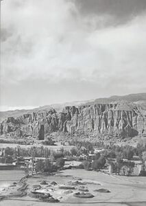 Les villes du nord-ouest du sous-continent indien des Indo-Grecs aux Kouchans