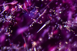Rutile silk (high relief) with daughter crystals (lower relief) at the broad ends is a common feature of Mozambique rubies. Heat treatment often produces a breakdown of the daughter crystals, producing white spots or bubbles within the daughter.