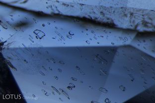 This untreated Burmese sapphire displays a fingerprint made up of well-formed negative crystals. Because high-temperature heat treatment will generally damage such cavities, undamaged negative crystals are strong evidence of the lack of high-temperature heat treatment.