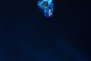 A black uraninite crystal with stress halo due to radiation is a common inclusion in Sri Lanka sapphire.