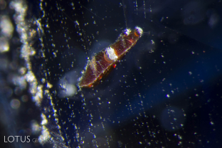 An orange rutile crystal polished through the surface of this sapphire from Nigeria.