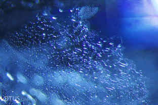 This fingerprint in a Nigerian sapphire shows a network of small channels undamaged by heat treatment.