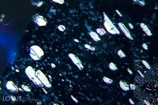 Negative crystals and small exsolved plates are seen in the basal plane of this untreated sapphire from Mogok, Myanmar.