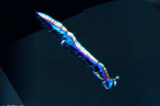 A crystal cut through on surface is strikingly iridescent when examined between crossed polars in this untreated sapphire from Sri Lanka.