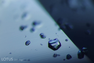 Birefringent crystal in transmitted light. If examined between crossed polars, it will reveal its doubly refractive nature.