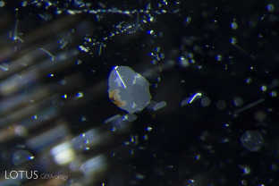 Iron-rich silk, in the form of exsolved plates within a sapphire from Tanzania’s Umba Valley.