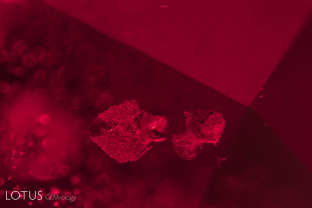 Included crystals in a ruby from Montepuez, Mozambique.