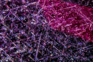 A dense concentration of rutile silk in a ruby from Montepuez, Mozambique.