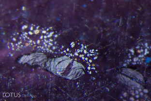A mica crystal surrounded by a small “rosette” inclusion can be seen in the basal plane of this ruby from Montepuez, Mozambique. Rutile silk is also visible.