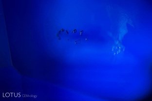 “Bubbly” melted crystals in a heat-treated sapphire from Sri Lanka.