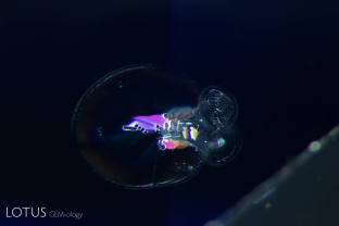 Glassy “discoid” inclusions in a heat-treated sapphire from Sri Lanka.