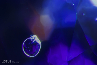 The yellow core of this Sri Lankan sapphire fluoresces orange when illuminated by a strong fiber-optic light.