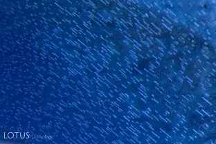 When a fingerprint is heated, the tiny negative crystals that form the fingerprint burst, creating tiny microfractures to release the pressure. This often creates a somewhat frosted appearance, as one can see here.