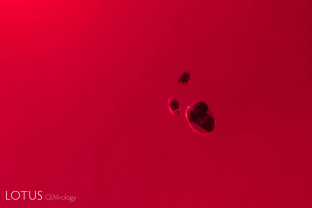 Inclusions of what is probably pargasite with dark grains of embedded chromite in a ruby from Montepuez, Mozambique.