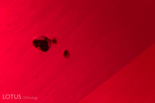 Inclusions of what is probably pargasite with dark grains of embedded chromite in a ruby from Montepuez, Mozambique.