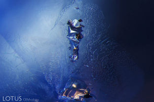 One of the classic inclusions found in Sri Lankan sapphires are negative crystals. These are generally filled with liquid carbon dioxide and sometimes contain a gas phase, too. In addition, hexagonal black graphite plates and slender diaspore needles are frequent guests in these tiny primary cavities.