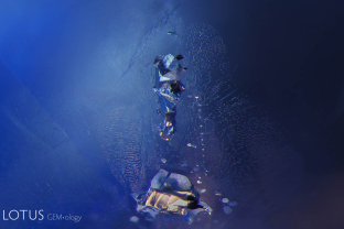 One of the classic inclusions found in Sri Lankan sapphires are negative crystals. These are generally filled with liquid carbon dioxide and sometimes contain a gas phase, too. In addition, hexagonal black graphite plates and slender diaspore needles are frequent guests in these tiny primary cavities.