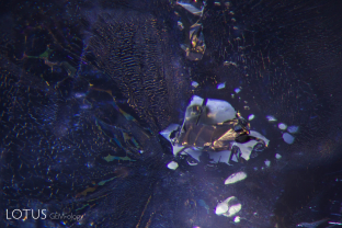 One of the classic inclusions found in Sri Lankan sapphires are negative crystals. These are generally filled with liquid carbon dioxide and sometimes contain a gas phase, too. In addition, hexagonal black graphite plates and slender diaspore needles are frequent guests in these tiny primary cavities.